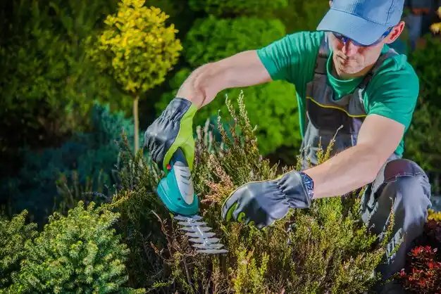 landscaping services Zwolle